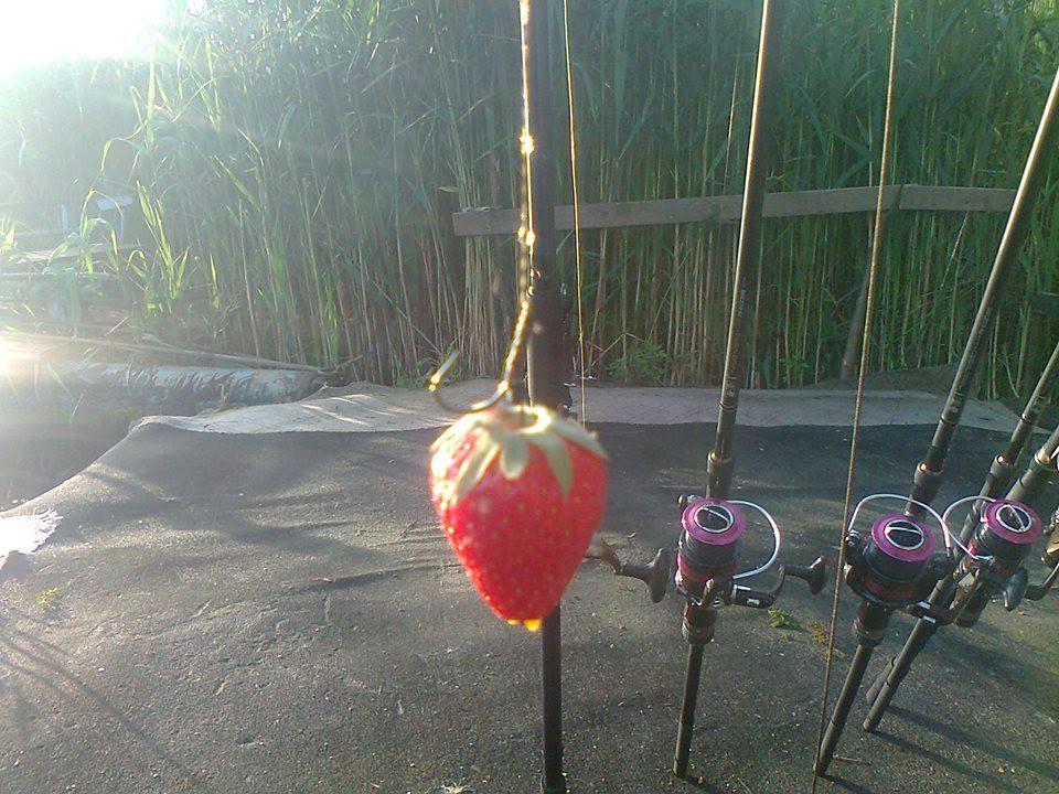 Crap de sete!!! :)  - 481717369685873130948448283740n.jpg